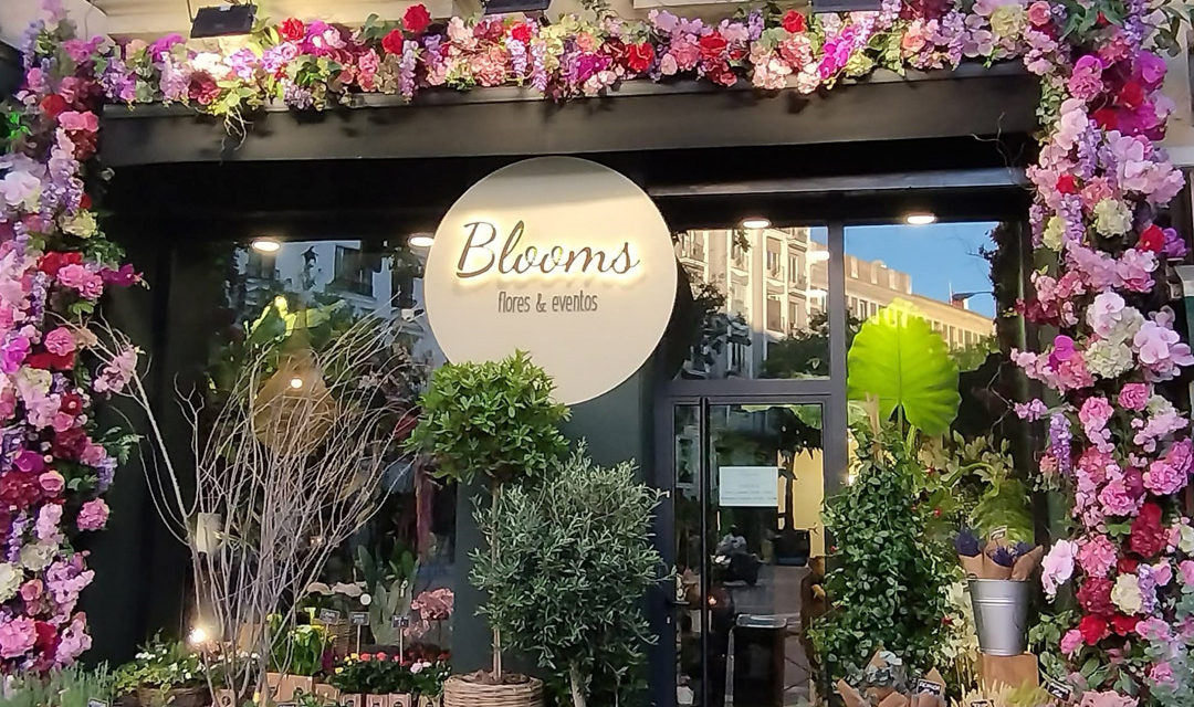 Blooms: Abrimos floristería en Madrid