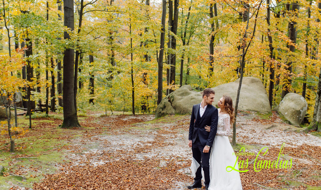 Bodas de otoño 2024