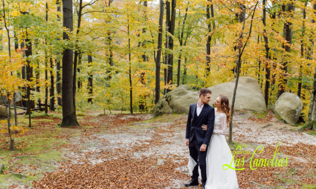 Bodas de otoño 2024