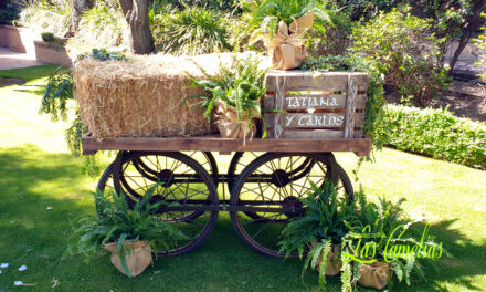 Bodas de Otoño